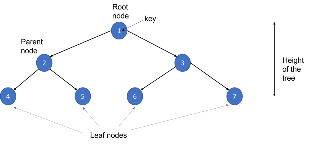 structure of tree